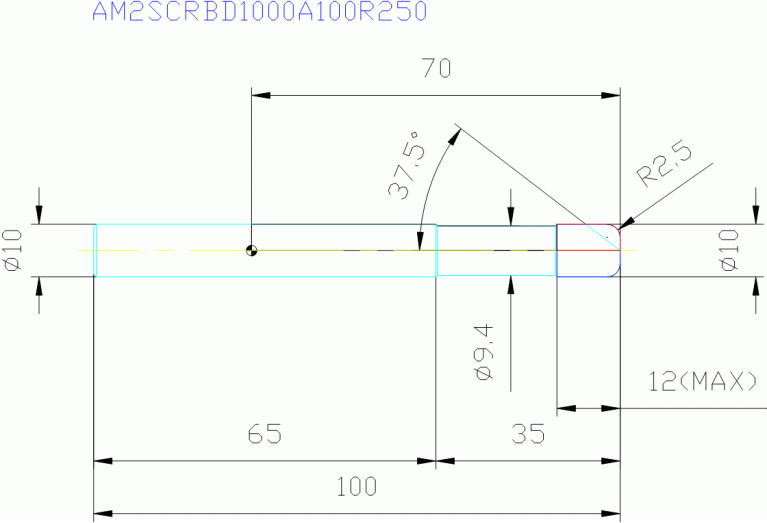 AM2SCRBD1000A100R250
