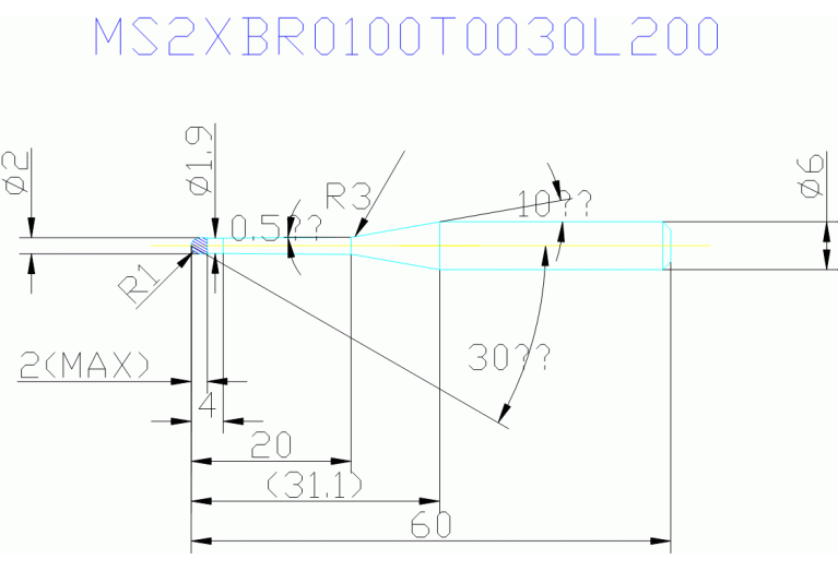 MS2XBR0100T0030L200