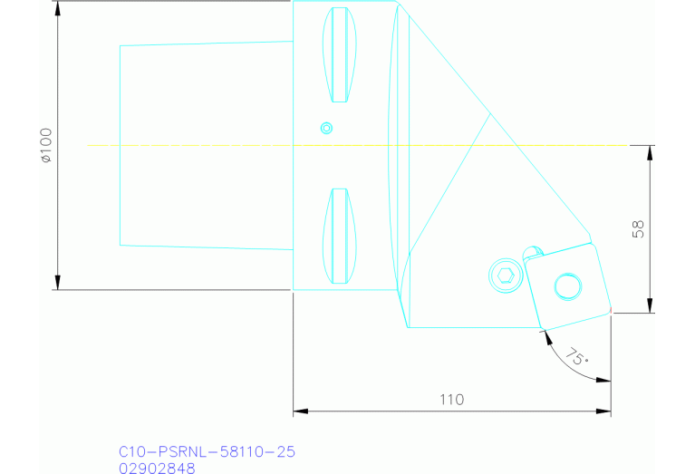 C10-PSRNL-58110-25