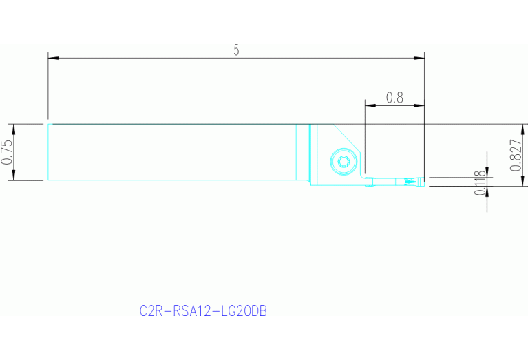 C2R-RSA12-LG20DB