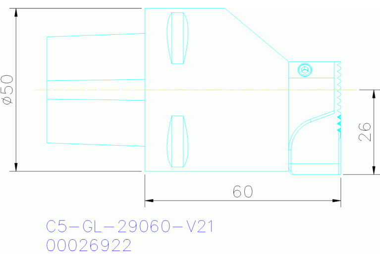 C5-GL-29060-V21