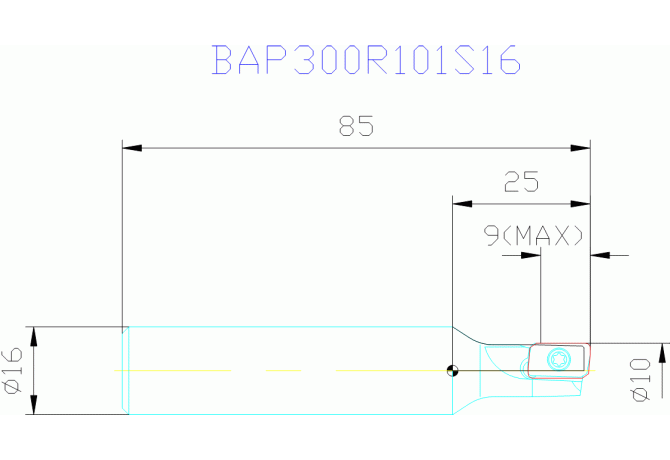 BAP300R101S16