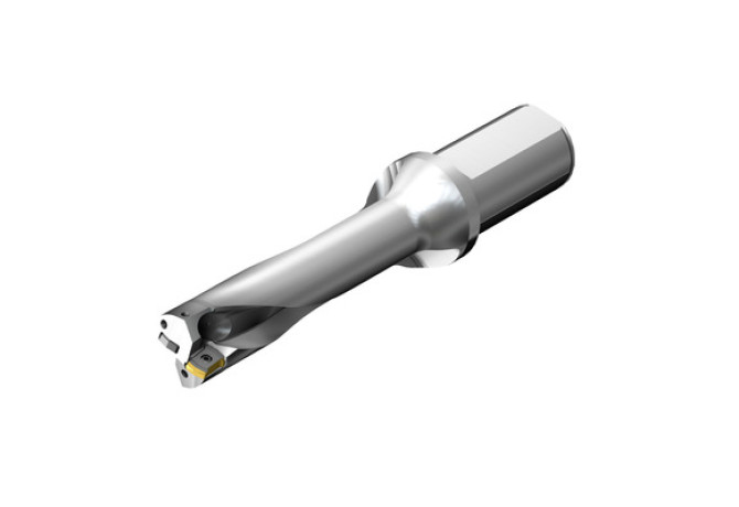 DS20-D4500L50-04