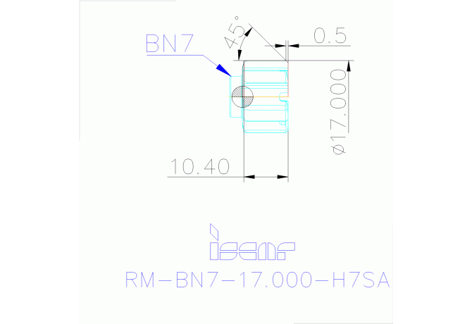 RM-BN7-17.000-H7SA IC08