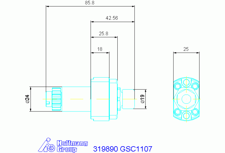 319890 GSC1107