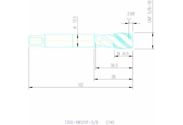 T300-XM101IF-5/8 C145