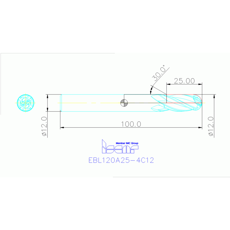 EBL120A25-4C12 IC900