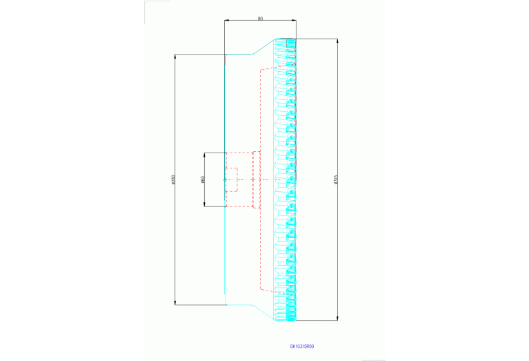 DK1G315R00