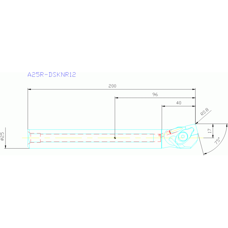 A25R-DSKNR12