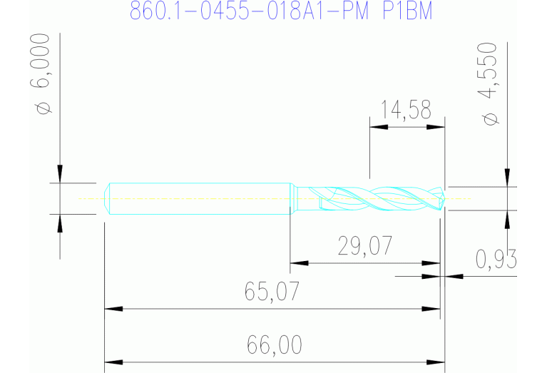 860.1-0455-018A1-PM P1BM