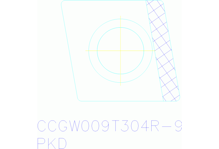 CCGW09T304FSR-9 WDN10