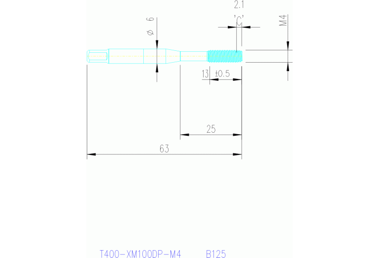 T400-XM100DP-M4 B125