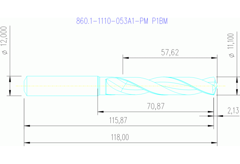 860.1-1110-053A1-PM P1BM