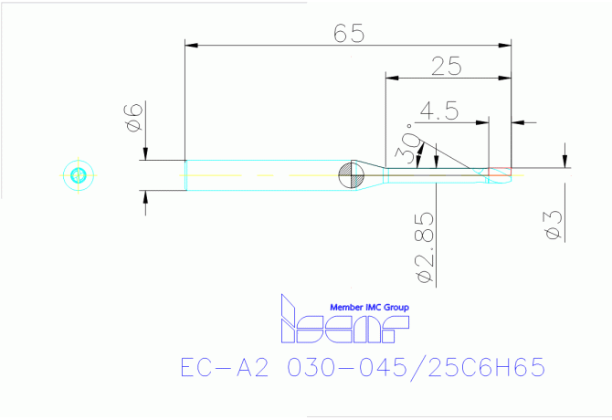 EC-A2 030-045/25C6H65 IC702
