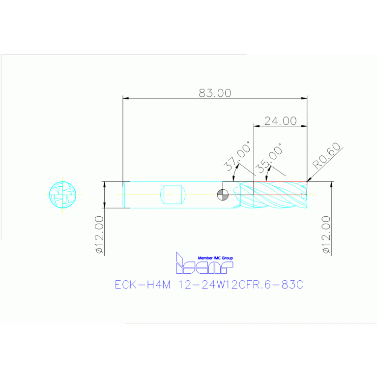ECK-H4M 12-24W12CFR.6-83C IC300