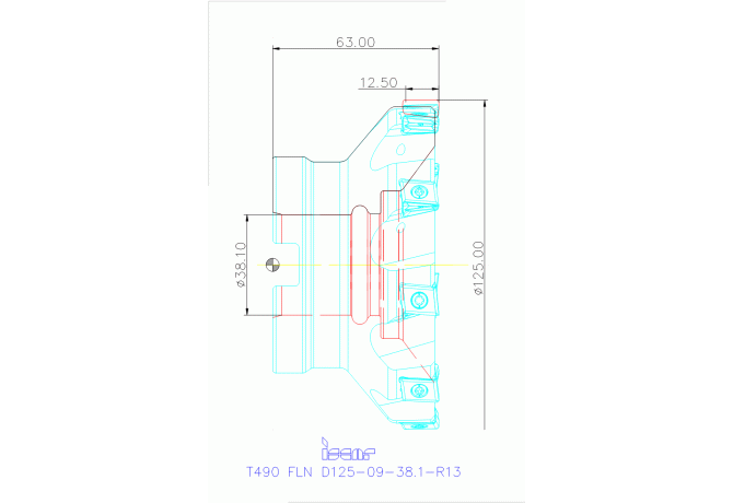 T490 FLN D125-09-38.1-R13