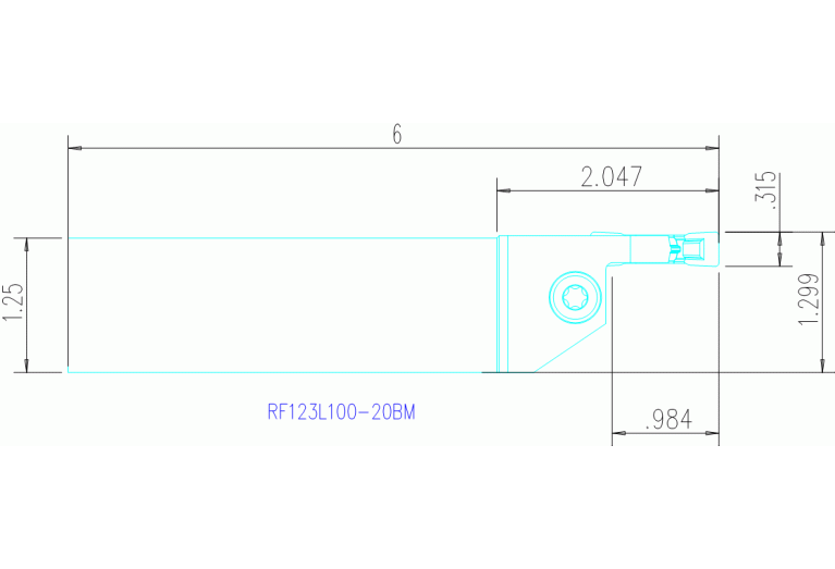 RF123L100-20BM