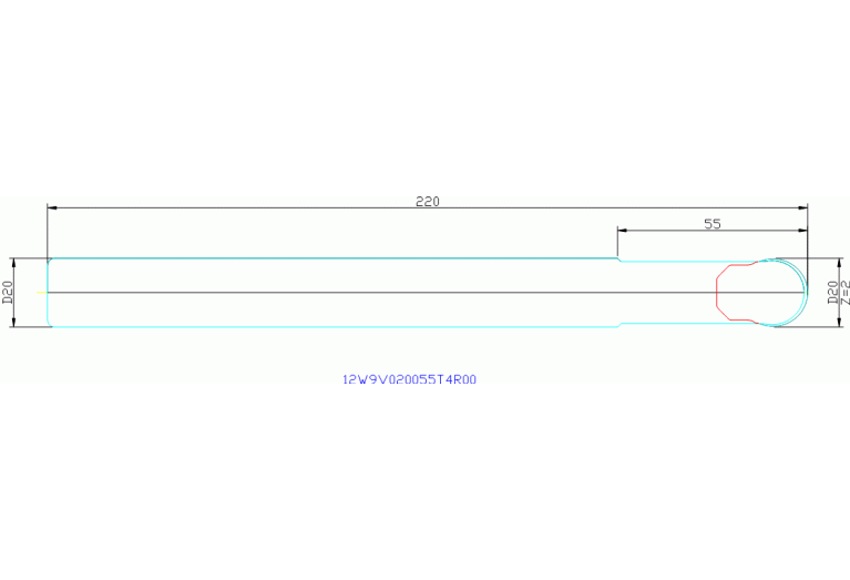 12W9V020055T4R00