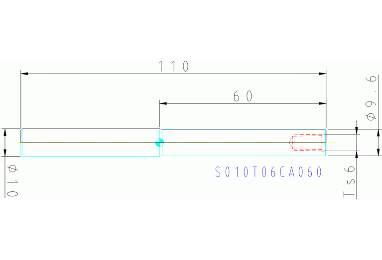 S010T06CA060