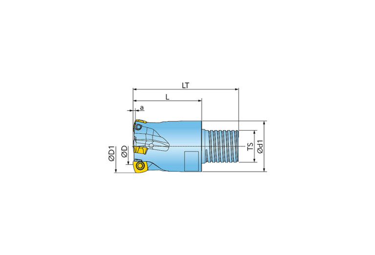 15G1D025032TUR00
