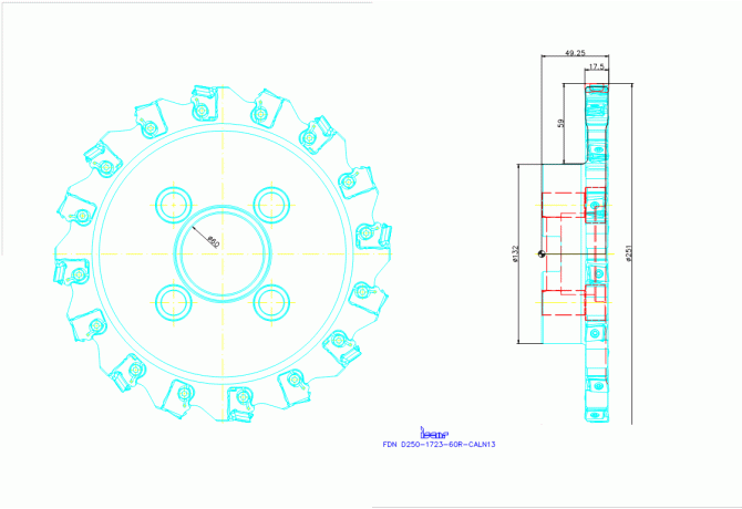 FDN D250-1723-60R-CALN13