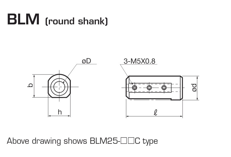 BLM254-08