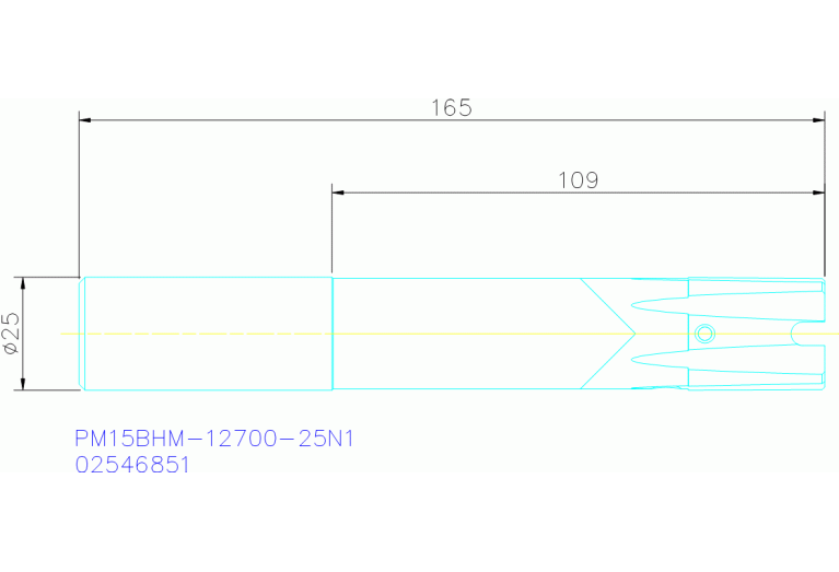 PM15BHM-12700-25N1