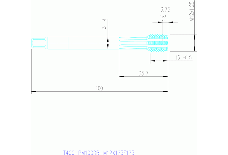 T400-PM100DB-M12X125F125