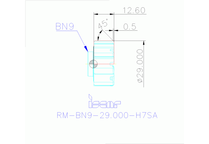 RM-BN9-29.000-H7SA IC908