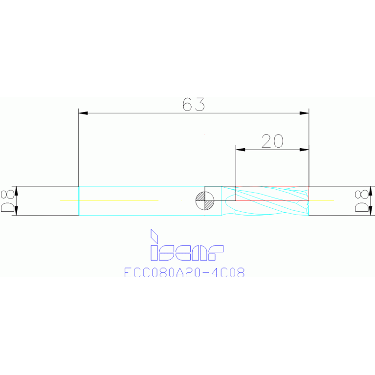 ECC080A20-4C08 IC300