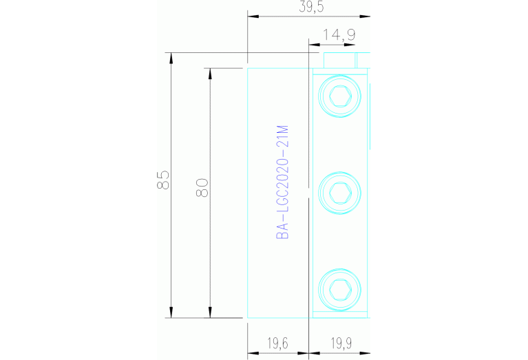 BA-LGC2020-21M