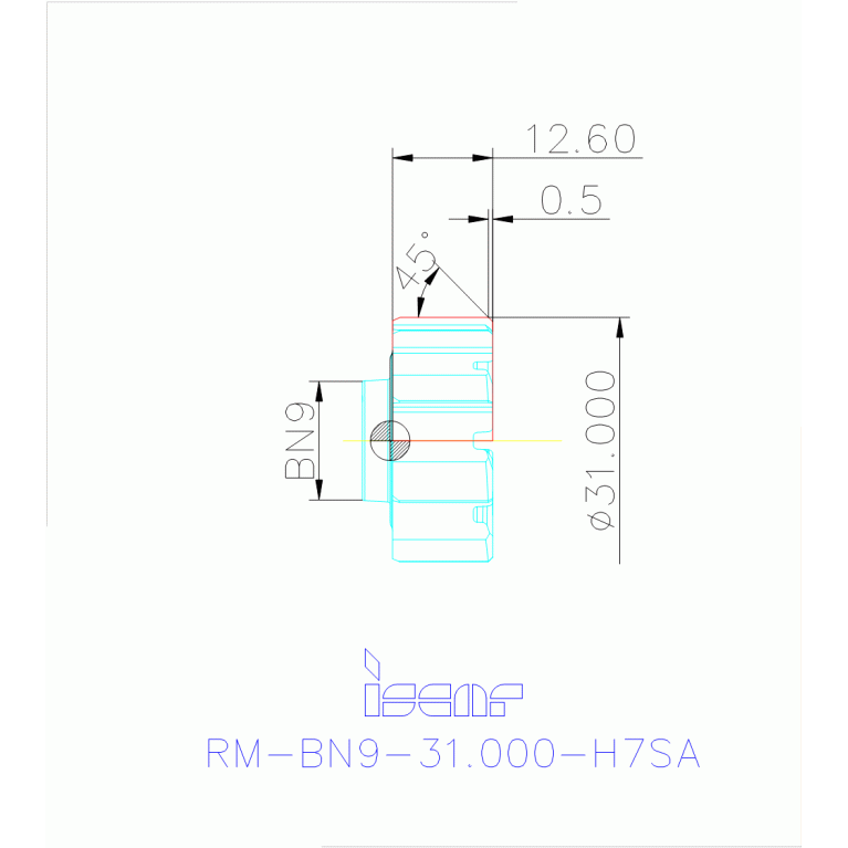 RM-BN9-31.000-H7SA IC908
