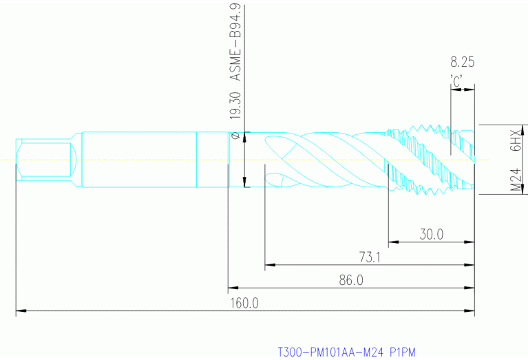 T300-PM101AA-M24 P1PM
