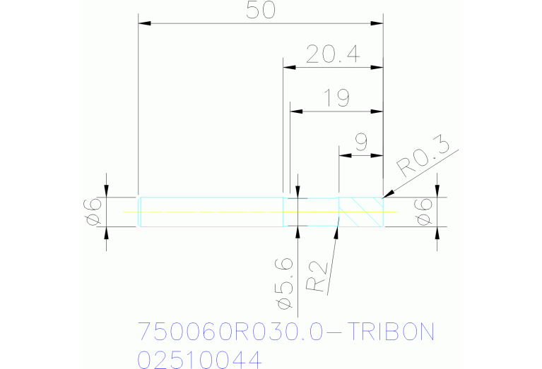 750060R030.0-TRIBON