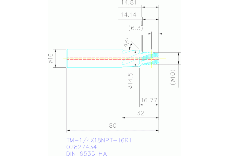 TM-1/4X18NPT-16R1