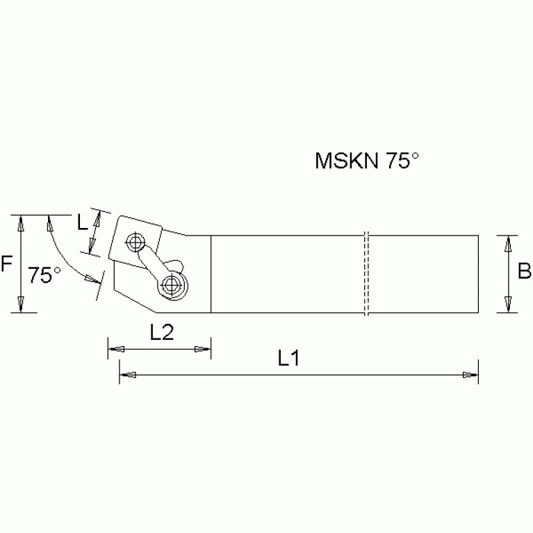 MSKNL3232P19