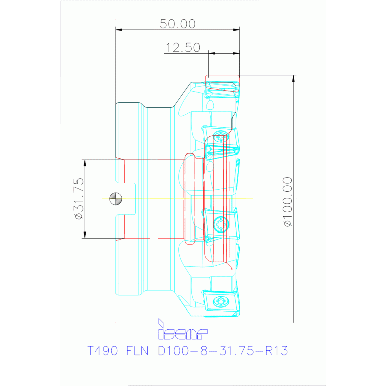 T490 FLN D100-8-31.75-R13