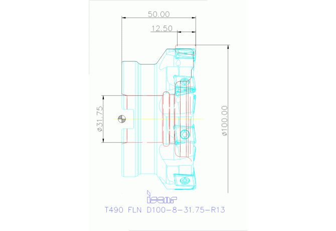 T490 FLN D100-8-31.75-R13