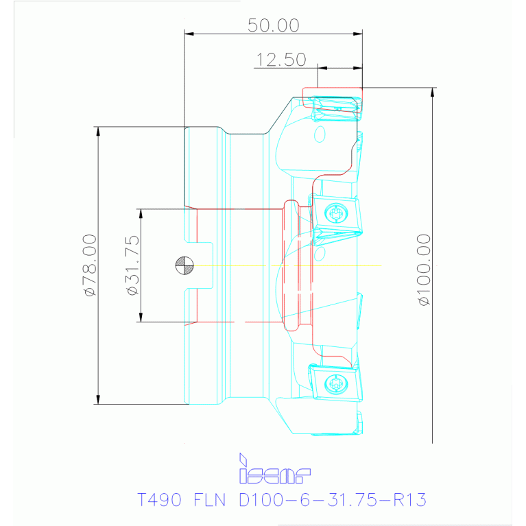 T490 FLN D100-6-31.75-R13