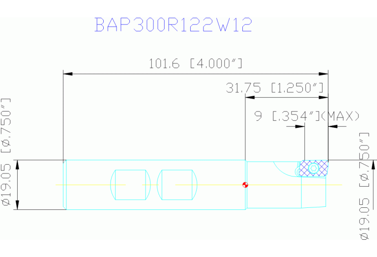 BAP300R122W12