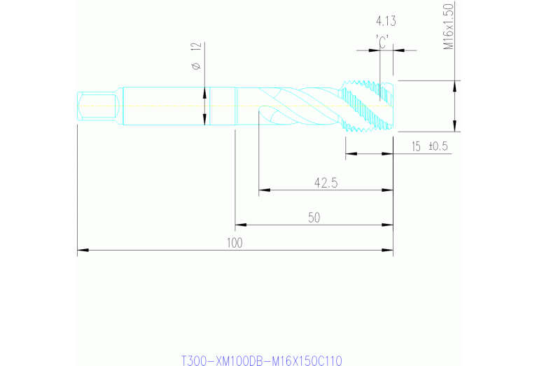 T300-XM100DB-M16X150C145