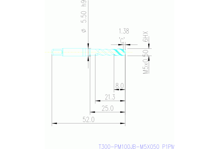 T300-PM100JB-M5X050 P1PM