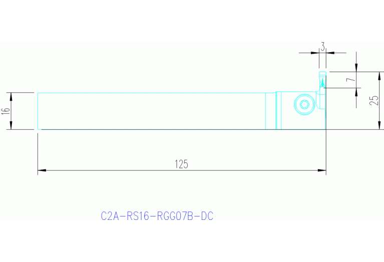 C2A-RS16-RGG07B-DC