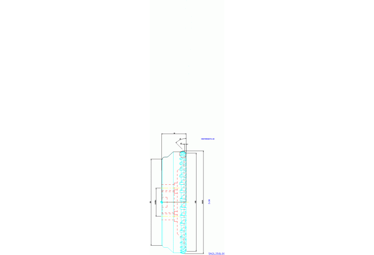 5N2L250L00