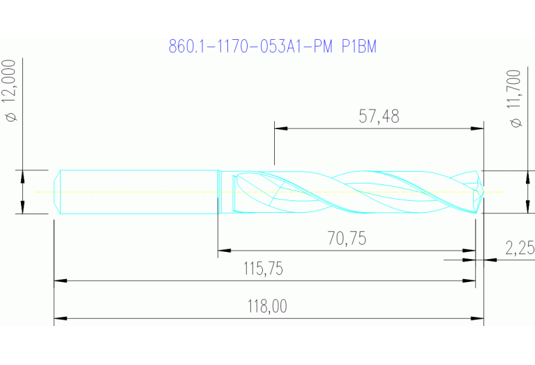 860.1-1170-053A1-PM P1BM