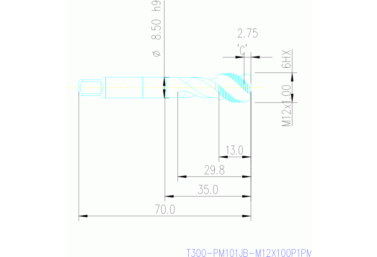 T300-PM101JB-M12X100P1PM
