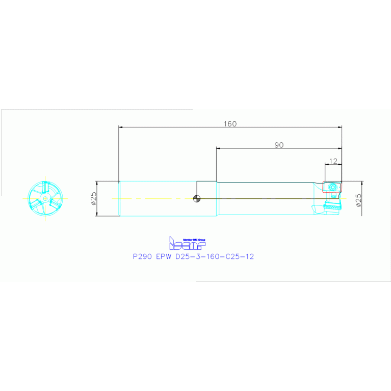 P290 EPW D25-3-160-C25-12