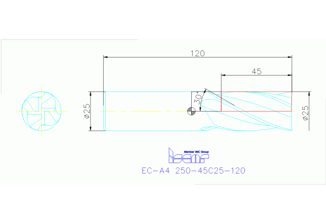 EC-A4 250-45C25-120 IC903