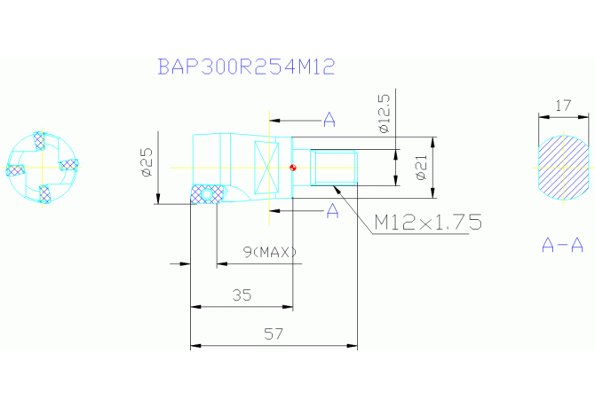 BAP300R254M12