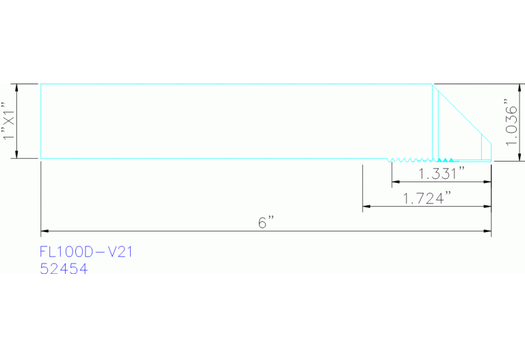 FL100D-V21
